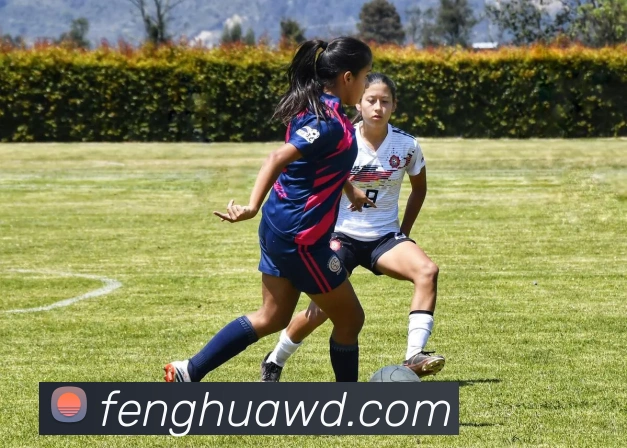 问鼎官网入口APP 封面图